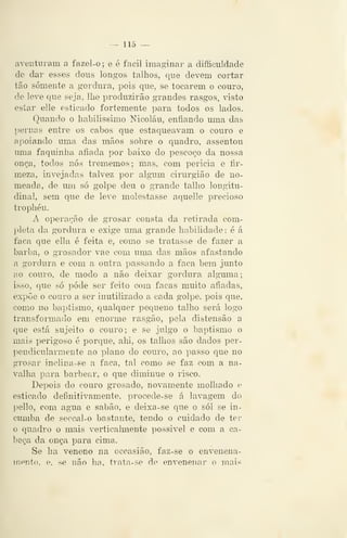 — 115 —
aventuram a fazel-o ; e é fácil imaginar a difficuldade
de dar esses dous longos talhos, que devem cortar
tão somente a gordura, pois que, se tocarem o couro,
de ]eve que seja, lhe produzirão grandes rasgos, visto
estar elle esticado fortemente para todos os lados.
Quando o habiliseimo Nicolau, enfiando uma das
pernas entre os cabos que estaqueavam o couro e
apoiando uma das mãos sobre o quadro, assentou
uma faquinha afiada por baixo do pescoço da nossa
onçii, todos nós trememos; mas, com pericia e fir-
meza, invejadas talvez por algfum cirurgião de no-
meada, de um só golpe deu o grande talho longitu-
dinal, s^m que de leve molestasse aquelle precioso
trophéu.
A oj>eração de grosar consta da retirada com-
pleta da gordura e exige uma grande habilidade: é á
faca que ella é feita e, como se tratasse de fazer a
barba, o grosador vae com uma das mãos afastando
a gordura e com a outra j3assando a faca bem junto
ao couro, de modo a não deixar gordura algiima;
isso, que só pôde ser feito com facas muito afiadas,
expõe o couro a ser inutilizado a cada golpe, pois que,
como no baptismo, qualquer pequeno talho será logo
transformado em enorme rasgão, pela distensão a
que está sujeito o couro; e se julgo o baptismo o
mais perigoso é porque, ahi, os talhos são dados per-
pendiculai-mente ao plano do couro, ao passo que no
grosar inclina-ge a faca, tal como se faz com a na-
valha para barbear, o que diminue o risco.
Depois do couro grosado, novamente molhado e
esticado definitivamente, procede- se á lavagem do
pello, com agua e sabão, e deixa-se que o sói se in-
cumba de seccíil-o bastante, tendo o cuidado de ter
o quadro o mais verticalmente possível e com a ca-
beça da onça para cima.
Se ha veneno na occasião, faz-se o envenena-
mento, e, se não lia, trata-se de envenenar o mais
 