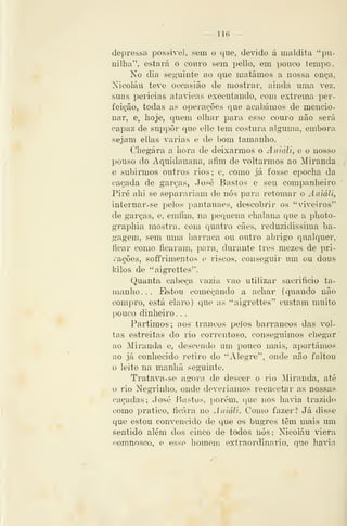 — 116 —
depressa possível, sem o que, devido á maldita "pu-
nilha", estará o couro sem pello, em pouco tempo.
No dia seguinte ao que matámos a nossa onça,
Nicolau teve occasião de mostrar, ainda uma vez,
suas perícias atávicas executando, com extrema per-
feição, todas as operações que acabámos de mencio-
nar, e, lioje, quem olhar para esse couro não será
capaz de suppôr que elle tem costura alguma, embora
sejam ellas varias e de bom tamanbo.
Chegara a hora de deixarmos o Aniáli, e o nosso
pouso do Aquidauana, afim de voltarmos ao Miranda
e subirmos outros rios; e, como já fosse epocha da
caçada de garças, José Bastos e seu companheiro
Pire alii se separariam de nós para retomar o AniáH,
internar-se pelos pantanaes, descobrir os "viveiros"
de garças, e, emfim, na pequena chalana que a photo-
graphia mostra, com quatro cães, reduzidíssima ba-
gagem, sem uma barraca ou outro abrigo qualquer,
ficar como ficaram, para, durante três mezes de pri-
i^ações, soffrimentos e riscos, conseguir um ou dous
kilos de '^aigrettes".
Quanta cabeça vazia vao utilizar sacrifício ta-
manho. . . Dstoii começando a achar (quando não
compro, está claro) que as ''aigrettes'' custam muito
pouco dinheiro. .
Partimos; aos trancos pelos baiTancos das vol-
tas estreitas do rio correntoso, conseguimos chegar
ao Miranda e, descendo um pouco mais, aportámos
ao já conhecido retiro do ''Alegre", onde não faltou
o leite na manhã seguinte.
Tratava-se agora de descair o rio Miranda, até
o rio Negrinho, onde deveríamos reencetar as nossas
caçadas; José Bastos, porém, que nos havia trazido
como pratico, ficara no Aniáli. Como fazer? Já disse
que estou convencido de que os bugres têm mais um
sentido além dos cinco de todos nós: Nicolau iera
comno.sco, o esse homons extraordinário, que haTn
 