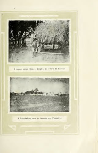 o nosso amigo Gomes Guayba, no retiro de Tarumã
A hospitaleira casa da fazenda das Palmeiras
 