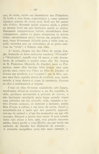 — 127 —
que, de resto, existe em abundância nas Palmeiras.
Já tarde e com fome, regressámos e, como quizesse
algumas pennas de arara azul, fácil nos foi matar
oito d'ellas, deixando maior numero ainda a gritar
no mesmo local em que haviamos morto as outras.
Emquanto campeávamos cervos, encontrámos dous
catingueiros, ambos os quaes escaparam ás nossas
balas; encontrámos patos bravos em grandes lotes,
mas, como tivéssemos deixado para a volta essa ca-
çada, suc<íedeu que, ao tornarmos, já os patos esta-
vam na "sesta", e ficámos sem elles.
A' noute, chegou um dos filhos do amigo Jan-
jão, trazendo os dous cachorros mestres, "Visconde"
e "Mestrinlio", aquelle com 14 annos, e este descen-
dente do primeiro e mestre como elle. Na viagem
de S. Francisco (fazenda do Janjão) para as Pal-
meiras, esses cães hai^iam feito trepar uma onça
parda; mas, como seu Chico (o filho do Janjão) só
tivesse um revólver, e o "próprio", que lá fora, ape-
nas uma faca, aquelle atirou de revólver, mas, tendo
errado, a onça desceu e, como já anoutecia, tiraram
os cães e continuaram a viagem.
Como os cães tivessem caminhado sete léguas,
resolvemos deixal-os repousar e, no dia seguinte, 9,
cedo, partimos novamente á procura de cervos; e
não haviamos cavalgado meia légua quando vimos
uma ariranha em um alagado, onde, segundo o ha-
bito d 'esses animaes, de instante a instante, punha
fora d 'agua a cabeça e um terço do corpo. Apeei e,
escondendo-me o mais que era possivel, approxi-
mei-me do animal e, n'um dos momentos em que elle
emergia, disparei a minha três canos. O meu intuito
tinha sido atirar á bala, mas, com grande sur}jresa
minha, fizera partir o cano direito, em que havia um
cartucho de chumbo fino destinado ás aracuãs. .
A ariranha m.ergulhou para não mais emergir, e,
 