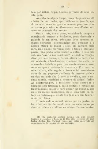 — 128 —
bem por minha culpa, ficámos privados de uma bo-
nita pelle.
Ao cabo de algum tempo, como chegássemos até
a beira de um riacho, aproveitámos os jacarés, que
ahi se mostravam em grande numero, para exercitar
as nossas pontarias, e offerecemos nove d 'estes ani-
maes ao banquete dos urubus.
Ora a trote, ora a passo, caminhando sempre e
examinando campos e banhados, para descobrir a
galhada de um cei^vo, avistámos dous enormes ca-
chaços solitários; approximámo-nos, apeámos e o
Nelson atirou no maior d'elles, um cachaço meio
ruço, mas ambos correram após o tiro; o alvejado,
porém, não podia acompanhar o outro, e isso nos
indicava "avaria nas machinas". Visando o coração,
atirei por meu turno ; o Nelson atirou de novo, mas,
não obstante o bombardeio, o animal não cahia; os
camaradas insistiam para que montássemos e asse-
veravam que o cachaço ia atacar-nos (1), mas, ao
envez d 'isso, elle seguiu a trote e foi esconder-se
atraz de um pequeno accidente de terreno onde a
macéga era mais alta. Montei a cavallo e, com a má-
xima cautela, caminhei á procura do animal ferido.
Ao avistarmo-nos, o resistente bicho sentou-se e
fixou-me com firmeza: a custo contive o cavallo em
tranquillidade bastante para deixar-me atirar e, isso
mais ou menos conseguido, alojei uma bala na ca-
beça do cachaço que, d 'esta vez (não era sem tempo),
cahiu por terra.
Examinando o animal, vimos que as quatro ba-
las o haâam ferido, sendo uma no meio do corpo,
duas na paleta e a ultima na cabeça. Parece incrível
(1) Os cachaços atacam mesmo sem que estejam
feridos, e cavallos e homens já têm sido victimas de seus
fortes dentes. Em Tarumã vimos um velho entrevado em
conse<iuencia do ataque de um cachaço.
 