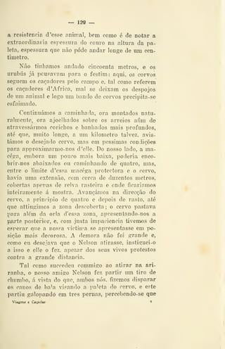 — 129 —
a resistência d 'esse animal, bem como é de notar a
extraordinária espessura do couro na altura da pa-
leta, espessura que não pode andar longe de um cen-
timetro.
Não tínhamos andado eincoenta metros, e os
urubus já pousavam para o festim: aqui, os corvos
seguem os caçadores pelo campo e, tal como referem
os caçadores d 'Africa, mal se deixam os despojos
de um animal e logo um bando de corvos precipita-se
esfaimado.
Continuámos a caminhada, ora montados natu-
ralmente, ora ajoelhados sobre os arreios afim de
atravessarmos corichos e banhados mais profundos,
até que, muito longe, a um kilometro talvez, avis-
támos o desejado cervo, mas em péssimas condições
para approximarmo-nos d'elle. Do nosso lado, a ma-
céga, embora um pouco mais baixa, poderia enco-
brir-nos abaixados ou caminhando de quatro, mas,
entre o limite d 'essa macéga protectora e o cervo,
havia uma extensão, com cerca de duzentos metros,
cobertas apenas de relva rasteira e onde ficaríamos
inteiramente á mostra. Avançámos na direcção do
cervo, a principio de quatro e depois de rasto, até
que attingimos a zona descoberta; o cervo pastava
para alem da orla d'essa zona, apresentando-nos a
p/irte posterior, e, com justa impaciência tivemos de
esperar que a nos?a victima se apresentasse em po-
sição mais decorosa. A demora não foi grande e,
como eu desejava que o Nelson atirasse, instiguei-o
a isso e elle o fez, apezar dos seus vivos protestos
contra a grande distancia.
Tal como succedeu commigo ao atirar na ari-
ranha, o nosso amigo Nelson fez partir um tiro de
chumbo, á vista do que, ambos nós, fizemos disparar
os canos de ba^a visando a paleta do cervo, e este
partiu galopando em três pernas, percebendo-se que
Viagens e Caçadas 9
 