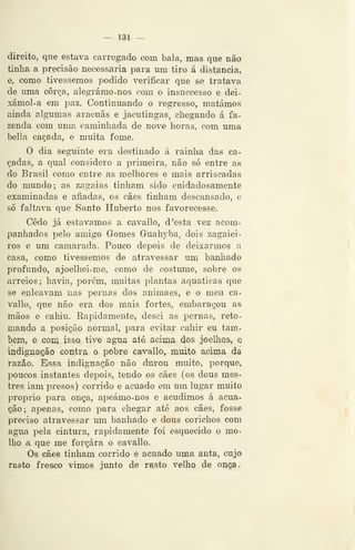 — 131 —
direito, que estava carregado com bala, mas que não
tinha a precisão necessária para um tiro á distancia,
e, como tivéssemos podido verificar que se tratava
de uma corça, alegrámo-nos com o insucc«sso e dei-
xámol-a em paz. Continuando o regresso, matámos
ainda algumas aracuãs e jacutingas, chegando á fa-
zenda com uma caminhada de nove horas, com uma
bella caçada, e muita fome.
O dia segTiinte era destinado á rainha das ca-
çadas, a qual considero a primeira, não só entre as
do Brasil como entre as melhores e mais arriscadas
do mundo; as zagaias tinham sido cuidadosamente
examinadas e afiadas, os cães tinham descansado, e
só faltava que Santo Huberto nos favorecesse.
Cedo já estávamos a cavallo, d 'esta vez acom-
panhados pelo amigo Gomes Guahyba, dois zagaiei-
ros e um camarada. Pouco depois de deixarmos a
casa, como tivéssemos de atravessar um banhado
profundo, ajoelhei-me, como de costume, sobre os
arreios; havia, porém, muitas plantas aquáticas que
se enleavam nas pernas dos animaes, e o meu ca-
vallo, que não era dos mais fortes, embaraçou as
mãos e caliiu. Rapidamente, desci as pernas, reto-
mando a posição normal, para evitar cahir eu tanir
bem, e com isso tive agua até acima dos joeDios, q
indignação contra o pobre cavallo, muito acima da
razão. Essa indignação não durou muito, porque,
poucos instantes depois, tendo os cães (os dous mes-
tres iam presos) corrido e acuado em um lugar muito
próprio para onça, apeámo-nos e acudimos á afina-
ção; apenas, como para chegar até aos cães, fosse
preciso atravessar um banhado e dous corichos com
agua pela cintura, rapidamente foi esquecido o mo-
lho a que me forçara o cavallo.
Os cães tinham corrido e acuado uma anta, cujo
rasto fresco vimos junto de rasto velho de onça,
 