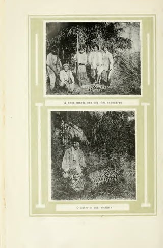 A onça morta aos pés dos caçadores
O autor e sua victiina
 