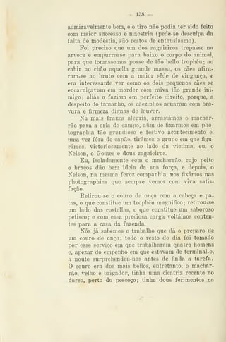 ~ 138 —
admiravelmente bem, e o tiro não podia ter sido feito
com maior successo e maestria (pede-se desculpa da
falta de modéstia, são restos de enthusiasmo).
Foi preciso que um dos zagaieiros trepasse na
arvore e empurrasse para baixo o corpo do animal,
para que tornássemos posse de tão bello trophéu; ao
cabir no cbão aquella grande massa, os cães atira-
ram-se ao bruto cem a maior sede de vingança, e
era interessante ver como os dois pequenos cães se
encarniçavam em morder com raiva tão grande ini-
migo; aliás o faziam em perfeito direito, porque, a
despeito do tamanlio, os cãezinhos acuaram com bra-
vura e firmeza dignas de louvor.
Na mais franca alegria, arrastámos o machar-
rão para a orla do campo, afim de fixarmos em pho-
tograpbia tão grandioso e festivo acontecimento e,
uma vez fora do capão, tirámos o grupo em que figu-
rámos, victoriosamente ao lado da victima, eu, o
Nelson, o Gomes e dous zagaieiros.
Eu, isoladamente com o macbarrão, cujo peito
e braços dão bem ideia da sua força, e depois, o
Nelson, na mesma feroz companhia, nos fixámos nas
photographias que sempre vemos com viva satis-
fação.
Retirou-se o couro da onça com a cabeça e pa-
tas, o que constitue um trophéu magnifico; retirou-se
um lado das costellas, o que constitue um saboroso
petisco; e com essa preciosa carga voltámos conten-
tes para a casa da fazenda.
Nós já sabemos o trabalho que dá o preparo de
um couro de onça; todo o resto do dia foi tomado
por esse serviço em que trabalharam quatro homens
e, apezar do empenho em que estavam de terminal-o,
a noute surprehendeu-nos antes de finda a tarefa.
O couro era dos mais bellos, entretanto, o machar-
rão, velho e brigador, tinha uma cicatriz recente no
dorso, perto do pescoço; tinha dous ferimentos na
 