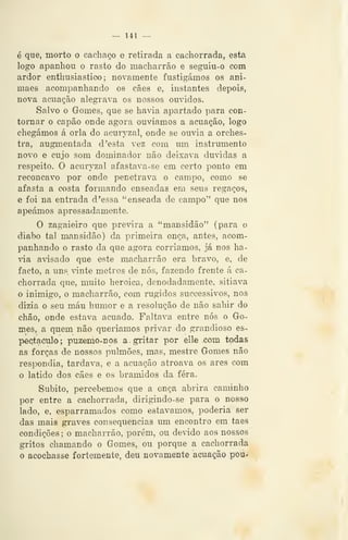— Ul —
é que, morto o cachaço e retirada a cachorrada, esta
logo apanhou o rasto do macharrão e seguiu-o com
ardor enthusiastico ; novamente fustigámos os ani-
maes acompanhando os cães e, instantes depois,
nova acuação alegrava os nossos ouvidos.
Salvo o Gomes, que se havia apartado para con-
tornar o capão onde agora ouviamos a acuação, logo
chegámos á orla do acuryzal, onde se ouvia a orches-
tra, augmentada d'esta vez com um instrumento
novo e cujo som dominador não deixava duvidas a
respeito. O acuryzal afastava-se em certo ponto em
recôncavo por onde penetrava o campo, como se
afasta a costa formando enseadas em seus regaços,
e foi na entrada d 'essa "enseada de campo" que nos
apeámos apressadamente.
O zagaieiro que previra a "mansidão" (para o
diabo tal mansidão) da primeira onça, antes, acom-
panhando o rasto da que agora corríamos, já nos ha-
âa avisado que este macharrão era bravo, e, de
facto, a uns vinte metros de nós, fazendo frente á ca-
chorrada que, muito heróica, denodadamente, sitiava
o inimigo, o macharrão, com rugidos successivos, nos
dizia o seu máu humor e a resolução de não sahir do
chão, onde estava acuado. Faltava entre nós o Go-
mes, a quem não queríamos privar do grandioso es^
pectaculo; puzemo-nos a gritar por eile com todas
as forças de nossos pulmões, mas, mestre Gomes não
respondia, tardava, e a acuação atroava os ares com
o latido dos cães e os bramidos da fera.
Súbito, percebemos que a onça abrira caminho
por entre a cachorrada, dirigindo-se para o nosso
lado, e, esparramados como estávamos, poderia ser
das mais graves consequências um encontro em taes
condições; o macharrão, porém, ou dev-ido aos nossos
gritos chamando o Gomes, ou porque a cachorrada
o acochasse fortemente^ deu novamente acuação pou*
 