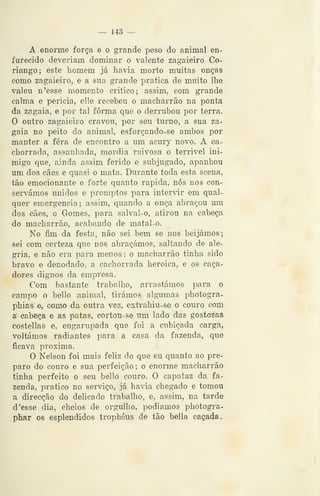 — 143 —
A enorme força e o grande peso do animal en-
furecido deveriam dominar o valente zagaieiro Co-
riango; este homem já havia morto muitas onças
como zagaieiro, e a sua grande pratica de muito lhe
valeu n'esse momento critico; assim, com grande
calma e pericia, elle recebeu o macharrão na ponta
da zagaia, e por tal forma que o derrubou por terra.
O outro zagaieiro cravou, por seu turno, a sua za-
gaia no peito do animal, esforçando-se ambos por
manter a fera de encontro a um acury novo. A ca-
chorrada, assanhada, mordia raivosa o terrível ini-
migo que, ainda assim ferido e subjugado, apanhou
um dos cães e quasi o mata. Durante toda esta scena,
tão emocionante e forte quanto rápida, nós nos con-
servámos unidos e promptos para intervir em qual-
quer emergência; assim, quando a onça abraçou ura
dos cães, o Gomes, para salval-o, atirou na cabeça
do macharrão, acabando de matal-o.
No fim da festa, não sei bem se nos beijámos;
sei com certeza que nos abraçámos, saltando de ale-
gria, e não era para menos: o macharrão tinha sido
bravo e denodado, a cachorrada heróica, e os caça-
dores dignos da empresa.
Com bastante trabalho, arrastámos para o
campo o bello animal, tirámos algumas photogra-
phias e, como da outra vez, exti'ahiu-se o couro com
a: cabeia e as patas, cortou-se um lado das gostosas
costellas e, engarupada que foi a cubicada carga,
voltámos radiantes para a casa da fazenda, que
ficava próxima.
O Nelson foi mais feliz do que eu quanto ao pre-
paro do couro e sua perfeição ; o enorme macharrão
tinha perfeito o seu bello couro. O capataz da fa-
zenda, pratico no serviço, já havia chegado e tomou
a direcção do delicado trabalho, e, assim, na tarde
d 'esse dia, cheios de orgulho, podíamos photogra-
phar os esplendidos trophéus de tão bella caçada.
 