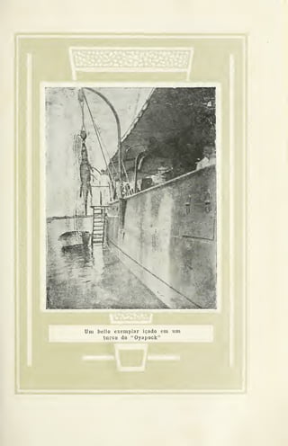 Um bello exemplar içado em um
turco do "Oyapock"
 