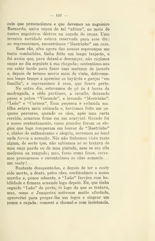 - 157 —
culo que presenciámos e que devemos ao zagaieiro
Bernardo, único capaz de tal "africa", no meio de
tantos zagaieiros destros na caçada de onças. Uma
terceira novidade estava reservada para esse dia:
ao regressarmos, encontrámos "Mestrinho" em casa.
Esse cão, alvo agora das nossas esperanças um
tanto combalidas, tinha feito um longo trajecto, e
foi assim que, para deixal-o descançar, não caçámos
onças no dia seguinte á sua chegada ; contentámo-nos
em sahir tarde para fazer uma matança de jacarés
e, depois de termos morto mais de vinte, detivemo-
nos longo tempo a apreciar os tuyúyús e garças "em
familia", e regressámos á casa, que ficava perto.
No outro dia, estávamos de pé ás 4 horas da
madrugada, e cedo partimos, a cavallo, deixando
preso o pobre "Visconde", e levando "Mestrinho",
"Leão" e "Carioca". Essa pequena e reduzida ma-
tilha estava mais animada e, haviamos feito um pe-
queno percurso, quando os cães, após uma curta
corrida, acuaram firme em um acuryzal. Grande foi
o nosso contentamento, como grandes foram os elo-
gios que logo romperam em louvor de "Mestrinho"
e, cheios de enthusiasmo e alegria, corremos ao local
onde fervia a acuação. Nós não tinhamos visto rasto
algum, de sorte que, não sabíamos se se tratava de
uma onça parda ou de uma pintada, nem se era ella
medrosa ou zangada; mas, fosse como fosse, corre-
mos pressurosos e encontrámos os cães acuando...
um coaty I . .
Bastante desapontados, e depois de ter o coaty
sido morto, a dente, pelos cães, continuámos a nossa
marcha e, pouco adeante, o "Leão" farejou com ha-
bilidade e firmeza acuando logo depois. Eu, que tinha
seguido "Leão" de perto, vi logo do que se tratava,
mas, como o Junqueira estivesse muito afastado,
aproveitei para pregar-lhe um logro e alegrar um
pouco a caçada: comecei a chamal-o com insistência,
 