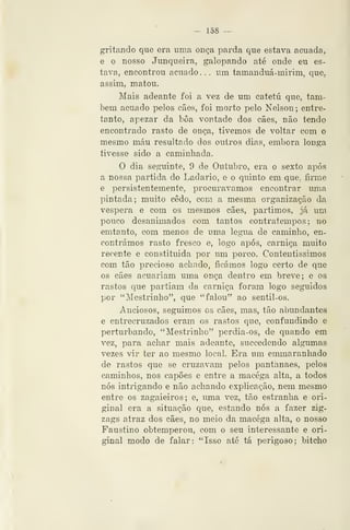 — 158 ~
gritando que era uma onça parda que estava acuada,
e o nosso Junqueira, galopando até onde eu es-
tava, encontrou acuado . . . um tamanduá-mirim, que,
assim, matou.
Mais adeante foi a vez de um catetú que, tam-
bém acuado pelos cães, foi morto pelo Nelson; entre-
tanto, apezar da boa vontade dos cães, não tendo
encontrado rasto de onça, tivemos de voltar com o
mesmo máu resultado dos outros dias, embora longa
tivesse sido a caminhada.
O dia seguinte, 9 de Outubro, era o sexto após
a nossa partida do Ladario, e o quinto em que, firme
e persistentemente, procurávamos encontrar uma
pintada; muito cedo, com a mesma organização da
véspera e com os mesmos cães, partimos, já um
pouco desanimados com tantos contratempos; no
emtanto, com menos de uma légua de caminho, en-
contrámos rasto fresco e, logo após, carniça muito
recente e constituída por um porco. Contentíssimos
com tão precioso achado, ficámos logo certo de que
os cães acuariam uma onça dentro em breve; e os
rastos que partiam da carniça foram logo seguidos
por *'Mestrinho", que "falou" ao sentil-os.
Anciosos, seguimos os cães, mas, tão abundantes
e entrecruzados eram os rastos que, confundindo e
perturbando, "Mestrinho" perdia-os, de quando em
vez, para achar mais adeante, succedendo algumas
vezes vir ter ao mesmo local. Era um emmaranhado
de rastos que se cruzavam pelos pantanaes, pelos
caminhos, nos capões e entre a macéga alta, a todos
nós intrigando e não achando explicação, nem mesmo
entre os zagaieiros ; e, uma vez, tão estranha e eri-
giu ai era a situação que, estando nós a fazer zig-
zags atraz dos cães, no meio da macéga alta, o nosso
Faustino obtemperou, com o seu interessante e ori-
ginal modo de falar; "Isso até tá perigoso; bitcho
 