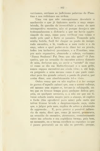 — 162 —
corríamos, ouvimos as judiciosas palavras do Faus-
tino e nos retirámos em ordem.
Uma vez que não conseguiamos descobrir o
macharrão e que já tinhamos morto a onça empo-
leirada, fiz questão de reconstituir a scena do meu
intempestivo encontro, não só porque desejava que
testemunhassem a distancia a que me havia appro-
ximado da onça, como para verificar com calma o
modo pelo qual o facto se passara. Tomando pela
minha batida, fácil foi chegar ao ponto do inespe-
rado encontro, e lá, vendo-se o meu rasto e o da
onça, sobre o qual poder-se-ia dizer ter eu pisado,
todos (eu inclusive) pasmámos, e o Faustino, sem-
pre mais expansivo, abanando a cabeça, exclamou:
"Nossa Senhora! Foi Deus que não quiz!" O Jun-
queira, que na occasião do encontro estava distante
de mim, declarou que, ao ouvir o "arroto" da onça
(é como se diz em Matto-Grosso) e o meu grito,
nimca suppoz encontrar-me ainda vivo; e, até hoje,
eu pergunto a mim mesmo como é que pude cami-
nhar para tão grande animal, a ponto de pisal-o, por
assim dizer, sem absolutamente tel-o visto.
Outra cousa que eu não explico é o ter escapo
ás garras d'aquelle animal que, sem o menor esforço,
até mesmo sem erguer-se, ter-me-ia subjugado, an-
tes que eu tivesse tempo para qualquer defesa pró-
pria, ou qualquer soccorro, e, a não ser que me ti-
vesse achado muito magro para o almoço, só explico
o facto (tão agradável para mim) pelo susto que
talvez tivesse levado a despreoccupada onça, susto
que, a julgar pelo meu, explica, de sobra a abstenção
da aggressão... E, para provar a possível influen-
cia do susto, direi que, como já narrei, procurava,
na occasião do encontro, atravessar, cautelosamente
entre um arbusto e um espinhoso tucum; pois bem,
no momento, ou o tucum recolheu os espinlios (o que
é pouco provável) ou eu não os percebi; porque.
 