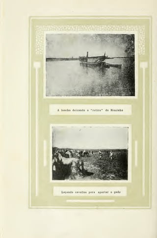 A lancha deixando o "retiro" do Riozinho
Laçando cavallos para apartar o gado
 