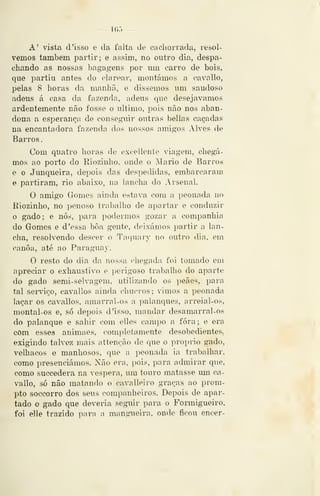 — 11)5 —
A' vista d 'isso e da falta de cacliorrada, resol-
vemos também partir; e assim, no outro dia, despa-
chando as nossas bagagens por um carro de bois,
que partiu antes do clarear, montámos a cavallo,
pelas 8 horas da manhã, e dissemos um saudoso
adeus á casa da fazenda, adeus que desejávamos
ardentemente não fosse o ultimo, pois não nos aban-
dona a esperança de conseguir outras bellas caçadas
na encantadora fazenda dos nossos amigos Alves de
Barros
Com quatro horas de exceilente viagem, chegá-
mos ao porto do Riozinho, onde o Mário de Barros
e o Junqueira, depois das despedidas, embarcaram
e partiram, rio abaixo, na lancha do Arsenal.
O amigo Gomes ainda estava com a peonada no
Riozinho, no penoso trabalho de apartar e conduzir
o gado; e nós, pai"a podermos gozar a companhia
do Gomes e d 'essa boa gente, deixámos partir a lan-
cha, resolvendo descer o Taquary no outro dia, em
canoa, até ao Paraguay.
O resto do dia da nossa chegada foi tomado em
apreciar o exhaustivo e perigoso trabalho do aparte
do gado semi- selvagem, utilizando os peães, para
tal serviço, cavallos ainda chucros ; vimos a peonada
laçar os cavallos, amarral-os a palanques, arreial-os,
montal-os e, só depois d 'isso, mandar desamarral-os
do palanque e sahir com elles campo a fora; e era
com esses animaes, completamente desobedientes,
exigindo talvez mais attenção de que o propiio gado,
velhacos e manhosos, que a peonada ia trabalhar,
como presenciámos. Não era, pois, para admirar que,
como succ«dera na véspera, um touro matasse um ca-
vallo, só não matando o cavalleiro graças ao prom-
pto soccorro dos seus companheiros. Depois de apar-
tado o gado que deveria seguir para o Formigueiro,
foi elle trazido para a mangueira, onde ficou encer-
 