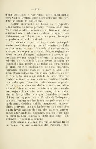 — 173 —
d'ella desistimos e resolvemos partir incontinente
para (Jampo Grande, onde descontaríamos nas per-
dizes as onças da Bodoquena.
Algams camaradas de bordo do "Oyapock",
tendo sabido da nossa presença, 'ieram ainda uma
vez dizer-nos adens ; lançámos nm ultimo olliar sobre
o nosso navio e sobre o majestoso Paraguay, des-
pedimo-nos dos collegas, e saltámos para o trem que
ia partir atravez do pantanal.
A primeira etapa da ^^agem seria principal-
mente constituída por quarenta kilometros de linha
semi-permanente, construída toda ella sobre aterro,
atravessando o x^autaual de caprichoso regimen de
aguas; estava elle agora inteiramente a secco, e pas-
sávamos, ora por exteuísões cobertas de macéga, ora
cobertas de "para-tudo", essa arvore commum no
pantanal e que, perdendo as folhas em cei-ta epocha
do anno, cobre-se inteiramente de flores amarellas,
formando extensas manchas de rara belleza. Mais
além, atravessámos um campo que poder- se-ia dizer
de cupins, tal era a quantidade de montículos que
recebem o nome do insecto que os constróe e habita,
montículos que, n'esse local estendendo- se a perder
de vista, accumulavam-se distando uns cinco metros
entre si. Vinham depois os intermináveis caranda-
zaes, cujos vultos erectos avistávamos, ininterruptos,
atravez das janellas do wagon. Caminhámos, cami-
nhámos muito; passámos a Estação de Bodoquena,
que nos tirou um suspiro de tristeza pela caçada que
perdêramos, devido á maldita ínaug-uração ; atraves-
sámos acuryzaes que nos lembravam as nossas boas
e agradáveis caçadas de onça, das quaes já começá-
vamos a ter saudades; passámos, com um pouco mais
de caminho, pela Estação de justificado nome — Ca-
randazal —^e seguimos sempre.
Estávamos ainda vestidos com os nossos trajes
de cacada, com que sahiramos das Palmeiras, pois,
 