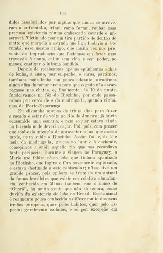 didos assalariados por alguns que niuica se atreve-
ram a enfrental-o, iriam, como foram, roubar essa
preciosa existência n'uma emboscada covarde e mi-
serável. Víctimado por um tiro partido de dentro do
matto que margeia a estrada que liga Ladario a (^'o-
rumbá, esse mesmo amigo, que muita vez nos pre-
veniu da imprudência que fazíamos em fazer essa
travessia á noute, cahiu sem vida e sem poder, ao
menos, castigar o infame bandido.
Depois de recebermos apenas quinhentas achas
de lenha, a custo, por empenho, e caras, partimos,
tomámos mais lenha um pouco adeante, atracámos
ainda afim de tomar areia para que o gado não escor-
regasse nas chatas, e, finalmente, ás 10 da noute,
fundeávamos na fóz do Riozinho, por onde passá-
ramos por cerca de 4 da madrugada, quando vínha-
mos de Porto-Esperança.
Eu dispimha apenas de trinta dias para fazer
a caçada e estar de volta ao Eio de Janeiro; já havia
consumido uma semana, e nem sequer estava ainda
na fazenda onde deveria caçar. Foi, pois, com prazer
que soube da intenção de aproveitar a lua, que nascia
tarde, para subir o Eiozinho. Assim foi, e, ás 2 e
meia da madrugada, graças ao luar e á enchente,
começámos a subir aquelle rio que nos recordava
tanta peripécia. Durante a viagem no Paraguay, o
Mário me falara n'um lobo que tinham apanhado
no Riozinho, que fugira e fora novamente capturado,
e estava destinado a este rabiscador; n'isso tive um
grande prazer, pois embora se trate de um animal
da fauna brasileira que existe em relativa abundân-
cia, conhecido em ]rmas também com o nome de
"Guará", ha muita gente que não só ignora, como
duvida da existência do lobo no Brasil. Esse animal
é realmente pouco conhecido e diífere muito dos seus
irmãos europeus, quer pelos hábitos, quer pelo as-
pecto; geralmente isolados, e só por excepção em
 