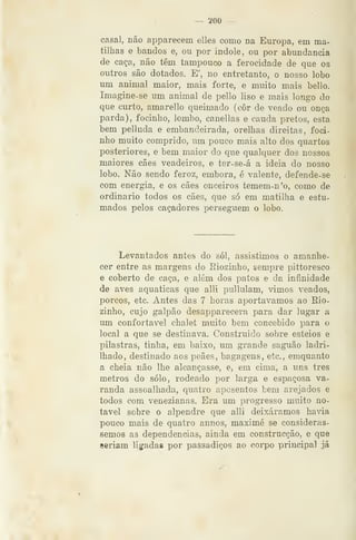 — 200 ~
casal, não apparecem elles como na Europa, em ma-
tilhas e bandos e, ou por índole, ou por abundância
de caça, não têm tampouco a ferocidade de que os
outros são dotados. E', no entretanto, o nosso lobo
um animal maior, mais forte, e muito mais bello.
Imagine-se um animal de pello liso e mais longo do
que curto, amarello queimado (cor de veado ou onça
parda), focinho, lombo, canellas e cauda pretos, esta
bem pelluda e embandeirada, orelhas direitas, foci-
nho muito comprido, um pouco mais alto dos quartos
posteriores, e bem maior do que qualquer dos nossos
maiores cães veadeiros, e ter-se-á a ideia do nosso
lobo. Não sendo feroz, embora, é valente, defende-se
com energia, e os cães onceiros temem-n'o, como de
ordinário todos os cães, que só em matilha e estu-
mados pelos caçadores perseguem o lobo.
Levantados antes do sói, assistimos o amanhe-
cer entre as margens do Eiozinho, sempre pittoresco
e coberto de caça, e além dos patos e da infinidade
de aves aquáticas que alli pullulam, vimos veados,
porcos, etc. Antes das 7 horas aportávamos ao Eio-
zinho, cujo galpão desapparecera para dar lugar a
um confortável chalet muito bem concebido para o
local a que se destinava. Construído sobre esteios e
pilastras, tinha, em baixo, um grande saguão ladri-
lhado, destinado aos peães, bagagens, etc, emquanto
a cheia não lhe alcançasse, e, em cima, a uns três
metros do solo, rodeado por larga e espaçosa va-
randa assoalhada, quatro aposentos bem arejados e
todos com venezianas. Era um progresso muito no-
tável sobre o alpendre que alli deixáramos havia
pouco mais de quatro annos, maximé se considerás-
semos as dependências, ainda em construcção, e que
seriam ligadas por passadiços ao corpo principal já
 