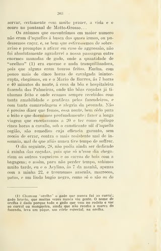 2o;} -
servar, certamente com miiito prazer, a xida e o
couro no pantanal de Matto-Grosso. .
Os animaes que encontrámos em maior numero
não eram d'aque]les á busca dos quaes iamos, ou pu-
déssemos caçar, e, se bem que estivéssemos de sobre-
aviso e promptos a atirar em caso de aggressão, não
foi absolutamente agradável a nossa passagem entre
enormes manadas de gado, onde a quantidade de
"orelhas" (1) era enorme e nada tranquillizadora,
pois que alguns eram touros feitos. Emíim, com
pouco mais de cinco horas de cavalgada ininter-
rupta, chegámos, eu e o Mário de Barros, ás 7 horas
e 40 minutos da noute, á casa da bôa e hospitaleira
fazenda das Pahneiras, onde tão boas caçadas já tí-
nhamos feito e onde éramos sempre recebidos com
tanta amabilidade e gentileza pelos fazendeiros, e
com tanta camaradagem e alegria da peonada. Não
é preciso dizer que fomos, essa noute, bem cedo para
o leito e que dormimos profundamente : fazer a longa
viagem que encetáramos n 20 e ter como epilogo
cinco horas a cavallo, sob o causticante sói d'aquella
região, são remédios cuja efficacia garanto, sem
receio de errar, contra o mais resistente mal de in-
somnia, mal de que aliás nunca tive tempo de soffrer.
O dia seguinte, 28, não podia ainda ser dedicado
á rainha das caçadas, pois que só n'esse dia chega-
riam os outros vaqueiros e os carros de bois com a
bagagem; e assim, para não i^erder tempo, sahimos
muito tarde, eu e o Acylino, ás 7 da manliã, apenas
com a minha 22, e trouxemos aracuãs, marrecos,
patos, e um lindo bugio negro, como só o são os de
(1) Chamam "orelho" o gado que nunca foi ao curral;
gado bravio, que muitas vezes nunca viu gente. O nome de
orelha é dado porque todo o gado que vem no rodeio e vae
ao curral ou mangueira, ainda que não receba a marca da
fazenda, leva um pique, um corte especial, na orelha.
 