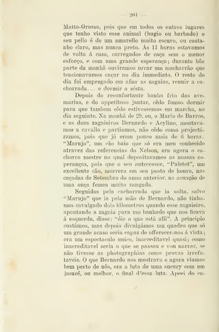 — 204 -
Matto-Grosso, pois que em todos os outros lugares
que tenho visto esse animal (bugio ou barbado) o
seu pello é de um amarello muito escuro, ou casta-
nho claro, mas nunca preto. As 11 horas estávamos
de volta á casa, carregados de caça sem o menor
esforço, e com uma grande esperança; durante boa
parte da manhã ouvíramos urrar um macharrão que
tencionávamos caçar no dia inmiediato. O re^to do
dia foi empregado em afiar as zagaias, reunir a ca-
chorrada. . . e dormir a sesta.
Depois do reconfortante banho frio das ave-
marias, e do appetitoso jantar, cedo fomos dormir
para que também cedo estivéssemos em marcha, no
dia seguinte. Na manhã de 29, eu, o Mário de Barros,
e os dous zagaieiros Bernardo e Acylino, montáva-
mos a cavallo e partíamos, não cedo como projectá-
ramos, pois que já eram pouco mais de 6 horas.
"Marujo", um cão baio que só era meu conhecido
atravez das referencias do Nelson, era agora o ca-
chorro mestre no qual depositávamos as nossas es-
peranças, pois que o seu antecessor, "Paletot", im.i
excellente cão, morrera em seu posto de honra, nas
caçadas de Setembro do anno anterior, na acuação de
uma onça fêmea muito zangada.
Seguidos pela cachorrada que ia solta, salvo
"Marujo" que ia pela mão de Bernardo, não tínha-
mos cavalgado dois kilometros quando esse zagaieiro,
apontando a zagaia para um banhado que nos ficava
á esquerda, disse: "óie o que está alli". X principio
custámos, mas depois diT.ilgámos um quadro que só
um grande acaso seria capaz de offerecer-nos á vista
era um espectáculo único, inacreditável quasi; como
inacreditável seria o que se passou e vou narrar, se
não tivesse as photographias como provas irrefu-
táveis. O que Bernardo nos mostrava e agora viamos
bem perto de nós, era a luta de uma sucuiy com um
jacaré, ou melhor, o final d 'essa luta. Apeei do ca-
 