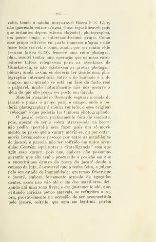 - 20Õ
vallo, tomei a minlia inseparável Gòerz 9 X 12, e,
não querendo entrar n'ag*ua (luxo injustificável, pois
que instantes depois estaria alagado), photogTaphei,
um pouco longe, o interessantissimo grupo. Como
esse gru]30 estivesse em parte immerso n'agua e não
fosse todo visivel, e como, ainda, por ser muito cedo
(seriam talvez 6.30), temesse uma ruim photogra-
pliia, resolvi tentar uma operação que os meus caros
leitores talvez relegassem para as aventuras de
Miinckausen, se não existissem as provas pliotogra-
phicas; ainda assim, eu deveria ter tirado uma pho-
tograpliia intermediaria entre a do banhado e a do
campo; mas, quando se está em face do facto real
e palpável, muito naturalmente não nos occorre a
ideia de que elle possa ser posto em duvida.
Mandei o zagaieiro Bernardo segurar a cauda do
jacaré e puxar o grujoo para o campo, onde o po-
deria photogTaphar á minha vontade, e esse original
"reboque" é que poderia ter também photograpliado.
O jacaré estava praticamente fora de combate,
pois, apezar de ter a cobra atravessada na bocca,
não podia apertal-a nem fazer mais um só movi-
mento^ ao passo que a sucury movia-se, ou por outra,
movia livremente o pescoço por entre as mandíbulas
do jacaré, e parecia não ter soffrido um único arra-
nhão. Convém aqui notar a "intelligencia" com que
agiu essa sucury, pois que, embora não possamos
garantir que ella tenha procurado a posição em que
a encontrámos dentro da bocca do jacaré desde o
começo da luta, é provável que o tenha feito, a julgar
pelo seu estado de immunidade; queremos frisar que
o jacaré, embora fortemente annado de aguçados
dentes, esses não vão até o fim dos maxillares, dei-
xando ahi uma zona livre; e era justamente ahi, que,
evitando caricias pouco amáveis, se refugiara a co-
bra, provavelmente na occasião de ser acommettida
pelo jacaré, coitado, que agia em legi/tima, porém
 