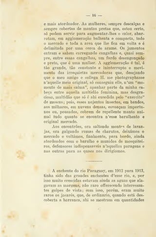 — 16 ->
e mais atordoador. As mulheres, sempre descalças e
sempre cobertas de mantas pretas que, estou certo,
só podem servir para augmentar-Ihes o calor, abar-
rotam, em agglomeração bulhenta e compacta, todo
o mercado e toda a área que lhe fica em volta e é.
delimitada por uma cerca de arame. Os jumentos
entram e sahem carregando cangalhas e, quasi sem-
pre, entre essas cangalhas, um fardo desengonçado
e preto, que é uma mulher. A agglomeração é tal, é
tão grande, tão constante e ininterrupto o movi-
mento das irrequietas mercadoras que, desejando
que o meu amigo e coUega H. me photographasse
n'aquell6 meio original, só conseguiu elle, n'um ''mo-
mento de mais calma", apanhar parte da minha ca-
beia entre aquella multidão feminina, mas desgra-
ciosa, multidão que só é ahi excedida pelo "exercito"
de moscas ;
pois, esses nojentos insectos, em bandos,
aos milhares, em nuvens densas, esvoaçam importu-
nos ou, pousados, cobrem de repeliente manto ani-
mal tudo quanto se encontra n'esse barulhento e
original mercado.
Aos encontrões, ora saltando montf^s de laran-
jas, ora galgando rumas de charutos, deixámos o
mercado e voltámos, finalmente, para bordo, ainda
atordoados com o barulho e munidos de mosquitei-
ros, defensores indispensáveis n'aquellas paragens e
nas outras para as quaes nos dirigíamos.
A enchente do rio Paraguay, em 1912 para 1913,
tinha sido das grandes enchentes d 'esse rio, e, por
isso muito crescidas estavam ainda as aguas que ala-
gavam as margens, não raro offerecendo interessan-
tes golpes de vista; com isso, porém, eram muito
raros os jacarés, que, de ordinário, quando está des-
coberta a barranca, ahi se mostram em quantidades
 