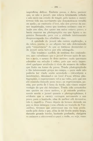 — 206 —
improficua defesa. E^nibora possa, e deva, parecer
que, se não o jacaré, que estava totalmente tolhido
e não mais em estado de reagir, pelo menos a sucury
tivesse tido um movimento que demonstrasse revolta
ou medo; ao contrario d 'isso, não deu provas da me-
nor inquietação, cousa que também notámos com re-
lação aos cães, dos quaes um único estava preso; e
basta reparar na photographia em que íigura o za-
gaieiro Bernardo, para ver a attitude inteiramente
despreoccupada dos alludidos cães.
A quietude do jacaré não carece explicação, a
da cobra, porém, se me afigura ter sido determinada
pela "consciência" de que se tentasse desenrolar-se
do jacaré seria talvez por elle subjugada.
Não tomámos medida de nenhum dos contendo-
res, mas calculámos qne o jacaré tivesse mais de me-
tro e meio, e menos de dous metros ; nada queremos
adeantar em relação á cobra, pois que seria impos-
sivel qualquer avaliação á vista do numero de voltas
que fazia em torno da presa. Tendo photographado
o tão interessante grupo no campo, —para onde não
poderia ter ^ándo senão arrastado — (desculpem a
insistência), deixámol-o no local d'essa ultima pho-
tographia, e esperávamos vel-o na volta, pois que era
ahi caminho forçado para casa ; ao regressarmos, po-
rém, por perto de 1 hora da tarde, não âmos sequer
vestígio do que ahi deixámos. Tendo sido arrastados
uns quatro ou cinco metros, e já estando pratica-
mente morto o jacaré quando o photographámos, é
evidente que a sucury carregou novamente a sua
presa para o banhado, afim de melhor alli devoral-a,
isto é, eugolil-a. Pouco depois de termos deixado em
paz os dous inimigos (sem allusão ao tratado de Ver-
sailles), tivemos que atravessar um rio bem avolu-
mado pela cheia e que, além de ter ficado muito largo,
durante grande trecho, bastante profundo, obrigava
os animaes a atravessal-o quasi n nado, ou seja, como
 
