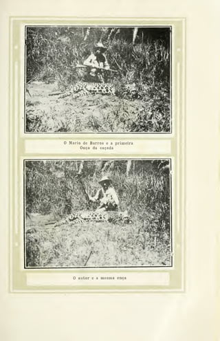 o Mário de Barros e a primeira
Onça da caçada
â
 