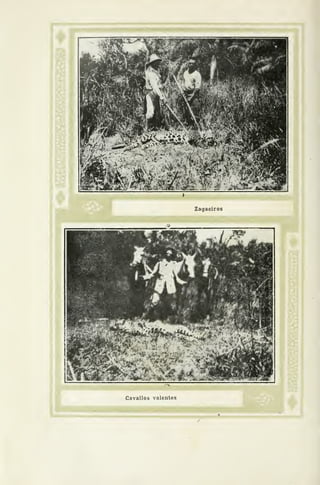 mm»tmmtmimmmiimmÊmi
li
Zagaeiros
Cavallos valentes
/^
 