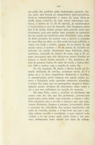 — 208 —
um pello tão perfeito quão lindamente pintado; fei-
tas, pois, que foram as competentes photographias,
tirou- se summariamente o couro da onça, tirou-se
ainda umas costellas de cujo sabor estávamos sau-
dosos, e talvez ás 11.30 da manhã, já montávamos
e buscávamos a casa da fazenda. AM chegámos antes
das 2 da tarde, dando graças pela grande sorte que
tivéramos, pois que matar uma pintada no primeiro
dia de caçada já constituia uma felicidade; mas, além
do feliz encontro da sucury com o jacaré, a acuação
da onça fora no chão, os cães nada haviam soffrido, o
couro era lindo e media, apezar de se tratar de um
macho novo, 2 metros e 70 da ponta do focinho ao
extremo da cauda. Dormimos uma deliciosa sesta,
matámos, atirando de dentro de casa, com a 22, al-
guns papagaios que não deixavam parar fructos no
pomar, e, tendo assim passado o dia, jantámos, de-
pois do gostoso banho do cahir da tarde, e fomos dor-
mir cedo e sonhar com a caçada do outro dia.
No dia seguinte, 30, tendo o Mário ficado na fa-
zenda cuidando de serviço, partimos tarde, ás 6 e
meia, eu e os dous zagaieiros: Bernardo e Acylino.
A peregrinação pelos campos era agora muito pe-
nosa e fatigante pelas grandes extensões alagadas,
e n'esse dia, para que se conseguisse chegar a deter-
minado ponto, tivemos de atravessar duas vezes o
rio a que nos referimos na caçada da véspera.
De uma feita, como o Acylino se afastasse um
pouco com um cão que lhe pertencia, pareceu-nos
ouvir para esses lados uma acuação, e vimos o allu-
dido zagaieiro pôr o cavallo a galope; nós, que está-
vamos distantes, fizemos o mesmo, procurando obter
o máximo da velocidade das nossas montarias; em
meio da corrida, porém, e n'um local em que a ma-
céga cobria cavallo e cavalleiro, o meu animal roda
(cahe), e se um pouco mais curto fosse o seu pes-
coço, certamente teria sabido por cima da cabeça,
 