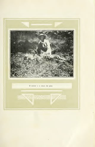 i o autor e a onça do páu
 