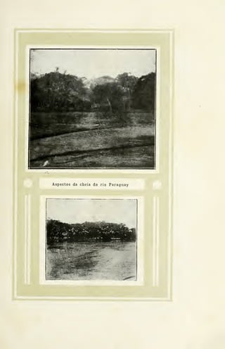 Aspectos da cheia do rio Paraguay
 