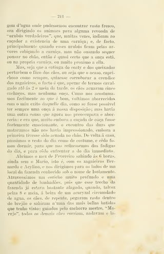 — 211 —
gem d 'agua onde pudéssemos encontrar rasto fresco,
ora dirigindo os animaes para alguma revoada de
"urubus verdadeiros", que, muitas vezes, indicam ao
caçador a existência de uma carniça; e, de facto,
principalmente quando esses urubus ficam pelas ar-
vores cobiçando a carniça, mas não ousando sequer
pousar no chão, então é quasi certo que a onça está,
ou na própria carniça, ou muito próximo a ella.
Mas, seja que a catinga do coaty e dos queixadas
perturbem o faro dos cães, ou seja que o acaso, capri-
choso como sempre, quizesse corroborar a crendice
dos zagaieiros, o facto é que, apezar de tennos caval-
gado até ás 2 e meia da tarde, os cães acuaram cinco
cachaços, mas nenhuma onça. Como nos acostuma-
mos facilmente ao que é bom, voltámos aborrecido.s
com o máu êxito daquelle dia, como se fosse possivel
ter sempre uma onça á nossa disposição; mas havia
uma outra cousa que agora nos preoccupava e abor-
recia : e era que, muito embora a caçada de onça fosse
fortemente emocionante, o encontro das duas que
matáramos não nos havia impressionado, embora a
primeira tivesse sido acuada no chão. De volta á casa,
passámos o resto do dia como de costume, e cedo fo-
mos dormir, para que nos refizéssemos das fadigas
do dia, e para cedo enfrentar a do dia immediato.
Abrimos o mez de Fevereiro sahindo ás 6 horas,
ainda sem o Mário, isto é, com os zagaieiros Ber-
nardo e Acylino, e nos dirigimos para os lados de ura
local da fazenda conhecido sob o nome de Isolamento.
Atravessámos um coricho muito profundo e uma
quantidade de l)anhadões, pois que esse trecho da
fazenda já estava bastante alagado, quando, talvez
pelas 8 e meia, á beira de um acuryzal circumdado
de agua, os cães. de repente, pegaram rasto dentro
do brejão e saliiram n'uma das mais bellas batidas
que tenho visto: guiados pelo cachorro mestre, ''Ma-
mjo". todos os domais cães corriam, nadavam f? la-
 