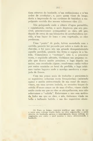 — 212 —
tiam atravez do banhado. u'iini entliiisiasmo e n'um
ardor de arrebatar; e, para quem ^sse de louge,
daria a impressão de um cardume de toninhas a em-
polgante corrida dos nossos valorosos cães (1).
Nós galopando onde a altura d 'agua permittia,
e caminhando, emfim, o mais depressa que era pos-
sivel, procurávamos acompanhar os cães, até que,
depois de cerca de um kilometro de arrebatadora cor-
rida, n'um lugar de lama e sem vegetação, os cães
perderam.
Uma "ponta" de gado, talvez assustada com a
corrida, parecia ter passado por sobre o rasto do ma-
charrão, e foi para nós um grande desapontamento
aquella perdida, quando tão firme e segura ia a ba-
tida. Começámos a "rastejar", isto é, a procurar
rasto, e seguindo adeante, visitámos um pequeno ca-
pão que ficava muito próximo, e logo depois um
maior, sem resultado algum; resolvemos então voltar
por outro caminho ao local da perdida, e logo achá-
mos vários lugares onde a macéga mostrava o espo-
jado de fresco.
Com um pouco mais de trabalho e persistência
os zagaieiros acharam rasto fresquíssimo (minando
agua) e muito entrecruzado de um casal de onças;
vimos, em uma ar'ore isolada, os recentes traços da
subida d'essas onças ou de uma d'ellas; vimos ainda
muito rasto em que os cães se atrapalharam, mas não
achávamos a '"sabida". Estávamos a uns cem metros
da Unha em que os cães, e nós, tínhamos ^dndo na
bella e bulhenta batida, e um dos zagaieiros obser-
(1) Para os leigos, convirá explicar que, além de ter
a onça uma catinga muito forte, os cães seguem-lhe a pista
atravez do banhado, graças á impregnação dessa catinga na
vegetação por entre a qual passou a onça, atravessand"© o
banhado.
 