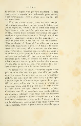 — 21Õ —
de rosnar, é signal que procura ludibriar os cães
para atacar o caçador, de preferencia pelas costas,
e era precisamente esse o grave caso em que nos
encontrávamos.
Em taes circumstancias, como de resto, em ge-
ral, a zagaia constituo a melhor arma de defesa con-
tra as onças; eu, porém, além de estar com arma de
fogo, tinha a peior posição, pois que era o ultimo
da fila, e d 'isso tinha perfeita consciência. De vagar,
seguíamos approxiiiiadamente a direcção do ultimo
urro que ouvíramos, quando um dos zagaieiros, vol-
tando-se para mim, disse-me, em tom de conselho:
'^'ommandante, vá "ladeando" os olhos porque esse
bicho está negaciando a gente!" A tensão de nossos
ner^'os era extrema; todos os nossos sentidos, como
para reforçal-os pareciam concentrados na visão e
na audição, e, sob a pressão d 'essa incerteza e d 'essa
ameaça, que poderia elfectivar-se e ser fatal de um
momento para outro, estav^amos um tanto indecisos
sobre o rumo a tomar, quando um dos cães, o menor
d'elles, latiu no rasto da fera. Que abençoado latido I
Que enorme peso sahiu de nossos hombros
O macharrão, de facto, conseguira esgueirar-se
por entre os cães sem ter por elles sido percebido,
mas, por causa dos mesmos, ou por outro qualquer
motivo, não conseguiu vir sol)re nós; e, pouco após
o latido a que fiz referencia e que, apezar de ter par-
tido da terra, cahira do céu, já iamos á procura de
nossos cavallos, quando, a pouco mais de cem metros
de nós, nova acuação alegrou nossos ouvidos.
Correndo para lá, atravessámos uma ponta estreita
do acuryzal, entrámos n'um brejo que me arrancou
as esporas, e instantes depois chegávamos á orla do
bamburro onde estrugia a acuação. iV onça escolhera
um local dos mais sujos, e era n'um emmaranhado de
cipós, macéga, raizes e galhos seccos que ella agora
 