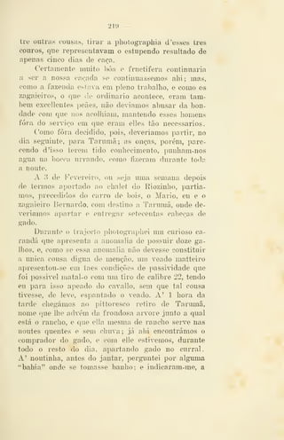 — 219 —
tie outras cousas, tirar a photographia d 'esses três
couros, que representavam o estupendo resultado de
apenas cinco dias de caça.
Certamente muito boa e fructifera continuaria
a ser a nossa caçada se continuássemos ahi; mas,
como a fazenda estava em pleno trabalho, e como os
zagaieiros, o que de ordinário acontece, eram tam-
bém excellentes peães, não devíamos abusar da bon-
dade com que nos acolhiam, mantendo esses homens
fora do sernço em que eram elles tão necessários.
Como fora decidido, pois, deveríamos partir, no
dia seguinte, para Tarumã; as onças, porém, pare-
cendo d'isso terem tido conhecimento, punham-nos
agua na bocca urrando, como fizeram durante todíi
a noute.
A o de Fevereiro, ou seja uma semana depois
de termos aportado ao chalet do Riozinho, partía-
mos, precedidos do carro de bois, o Mário, eu e o
zagaieiro Bernardo, com destino a Tarumã, onde de-
veríamos apartar e entregar setecentas cabeças de
gado.
Durante o trajecto pliotographei um curioso ca-
randá que apresenta a anomalia de possuir doze ga-
lhos, e, como se essa anomalia não devesse constituir
a única, cousa digna de menção, um veado matteiro
apresentou-se em taes condições de passividade que
foi possível matal-o com um tiro de calibre 22, tendo
eu para isso apeado do cavallo, sem que tal cousa
tivesse, de leve, espantado o veado. A' 1 hora da
tarde chegámos ao pittoresco retiro de Tarumã,
nome que lhe advém da frondosa arvore junto a qual
está o rancho, e que ella mesma de rancho serve nas
noutes quentes e sem chuva; já ahi encontrámos o
comprador do gado, e com elle estivemos, durante
todo o resto do dia, apartando gado no curral.
A' noutinha, antes do jantar, pergimtei por algimia
"bahia" onde se tomasse banho; e indicaram-me, a
 