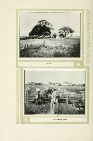 =1
ta
Apartando gado
 