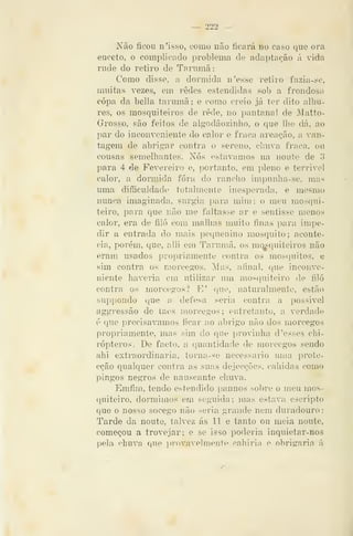 222
Não ficou n'isso, como não ficará no caso que ora
enceto, o complicado problema cie adaptação á vida
rude do retiro de Tarumã:
Como disse, a dormida d 'esse retiro fazia-se,
muitas vezes, em redes estendidas sob a frondosa
copa da bella tarumã; e como creio já ter dito alhu-
res, os mosquiteiros de rede, no pantanal de Matto-
Grosso, são feitos de algodãozinho, o que lhe dá, ao
par do inconveniente do calor e fraca areação, a van-
tagem de abrigar contra o sereno, chuva fraca, ou
cousas semelhantes. Nós estávamos na noute de 3
para 4 de Fevereiro e, portanto, em pleno e terrível
calor, a dormida fora do rancho impunha-se, mas
uma difficuldade totalmente inesperada, e mesmo
nunca imaginada, surgia para mim: o meu mosqui-
teiro, para que não me faltasse ar e sentisse menos
calor, era de filó com malhas muito finas para impe-
dir a entrada do mais peciuenino mosquito; aconte-
cia, porém, que, alli em Tarumã, os mq^quiteiros não
eram usados propriamente contra os mosquitos, e
sim contra os morcegos. Mas, afinal, que inconve-
niente haveria em utilizar um mosquiteiro de filó
contra os morcegos? E' que, naturalmente, estão
suppondo que n defesa seria contra íi possível
aggressão de t<ies morcegos; entretanto, a verdade
é que precisávamos ficar ao abrigo não dos morcegos
propriamente, mas sim do que provinha d 'esses chi-
rópteros. De facto, a quantidade de morcegos sendo
ahi extraordinária, torua-se necessário uma prote-
cção qualquer contra as suas dejecções, cabidas como
pingos negros de nauseante chuva.
Emfim, tendo estendido pannos sobre o meu mos-
quiteiro, do]'mimos em seguida; mas estava escripto
que o nosso socego não seria grande nem duradouro:
Tarde da noute, talvez ás 11 e tanto ou meia noute,
começou a trovejar; e se isso poderia inquietar-nos
pela chuva que ])rovavelmente cahirin e obrigaria á
 
