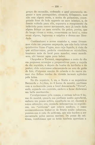 — 226 —
grupo de carandás, rodeando o qual procuraria en-
ganar o meu perseguidor; alcancei, felizmente, mas
não sem algum susto, a moita de palmeiras, conse-
guindo ficar do lado opposto ao meu inimigo, e, de
frente voltada para elle, esperava o rompimento da
indecisão para correr novamente, mas já tendo dado
algum fôlego ao meu cavallo. Os peães, porém, que
de longe viram a scena, accorreram ao local e, como
eram alguns, lograram o caipora e deram-me liber-
dade.
Continuámos o nosso caminho e, como tivésse-
mos visto um pequeno empoçado, que não teria talvez
quinhentos litros d 'agua, mas cujo liquido, á vista do
que utilizávamos, poderia considerar-se crj^stallinò,
tomámos nota do local para mandar, como mandá-
mos, ahi buscar agua para beber.
Chegados a Tarumã, empregámos o resto do dia
em pequenos arranjos e preparativos para a caçada
do dia seguinte, e depois do banho da tardinha e do
jantar, cedo estávamos adormecendo ao som da gaita
de fole, d 'alguma canção de caboclo e do suave ru-
mor das folhas verdes da virente tarumã agitadas
pela brisa.
No dia seguinte, 5, eu, o Mário e os zagaieiros
Bernardo e Acylino, ás 6 horas da manhã, partimos
com a cachorrada para o local denominado "Forno",
onde, segundo era corrente, andava a fazer diabruras
um bello macharrão.
Cavalgávamos pelo campo, e seriam talvez 8 ho-
ras da manhã, quando um perfume muito agradável,
embora um pouco activo, espalhado no ar, chamou a
nossa attenção; era, segundo informavam os zagaiei-
ros, um "ariticum" que estava maduro, e como
accrescentassem tratar-se de fructo muito saboroso,
puzemo-nos á cata do ariticum, que não tardou a ser
encontrado pelos nossos narizes. De posse do ari-
ticum, verificámos que os tatus também apreciam a
 