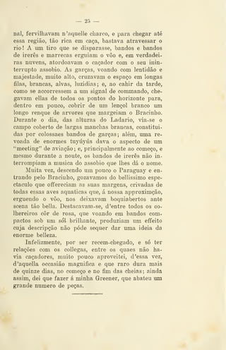 — 25 —
nal, fervilhavam n'aquelle charco, e para chegar até
essa região, tão rica em caça, bastava atravessar o
rio! A mn tiro que se disparasse, bandos e bandos
de irerês e marrecas erguiam o vôo e, em verdadei-
ras nuvens, atordoavam o caçador com o seu inin-
terrupto assobio. As garças, voando com lentidão e
majestade, muito alto, cruzavam o espaço em longas
filas, brancas, alvas, luzidias; e, ao cahir da tarde,
como se accorressem a um signal de commando, che-
gavam ellas de todos os pontos do horizonte para,
dentro em pouco, cobrir de um lençol branco um
longo renque de arvores que margeiam o Bracinho.
Durante o dia, das alturas do Ladario, via-se o
campo coberto de largas manchas brancas, constitui-
das por colossaes bandos de garças; além, uma re-
voada de enormes tuyúyús dava o aspecto de um
"meeting" de aviação ; e, principalmente ao começo, e
mesmo durante a noute, os bandos de irerês não in-
terrompiam a musica do assobio que lhes dá o nome.
Muita vez, descendo um pouco o Paraguay e en-
trando pelo Bracinho, gozávamos do bellissimo espe-
ctáculo que offereciam as suas margens, crivadas de
todas essas aves aquáticas que, á nossa approximção,
erguendo o vôo, nos deixavam boquiabertos ante
scena tão bella. Destacavam-se, d 'entre todos os co-
lhereiros côr de rosa, que voando em bandos com-
pactos sob um sol brilhante, produziam um effeito
cuja descripção não pôde sequer dar uma ideia da
enorme belleza.
Infelizmente, por ser recem-chegado, e só ter
relações com os collegas, entre os quaes não ha-
via caçadores, muito pouco aproveitei, d 'essa vez,
d'aquella occasião magnifica e que raro dura mais
de quinze dias, no começo e no fim das cheias ; ainda
assim, dei que fazer á minha Greener, que abateu um
grande numero de peças.
 