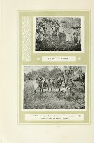 .recostamo-nos nor terra, á sombra de uma arvore, ahi
continuando as nossas palestras...
 