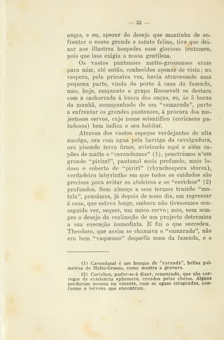 -^ 32 ^
onças, e eu, apezar do desejo que mantinha de en-
frentar o nosso grande e astuto felino, tive que dei-
xar aos illustres hospedes esse glorioso tentamen,
pois que isso exigia a nossa gentileza.
Os vastos pantanaes matto-grossenses eram
para mim, até então, conhecidos apenas de vista; na
véspera, pela primeira vez, havia atravessado uma
pequena parte, vindo do porto á casa da fazenda,
mas, hoje, emquanto o grupo Roosevelt se destaca
com a cachorrada á busca das onças, eu, ás 5 horas
da manhã, acompanhado de um "camarada", parto
a enfrentar os grandes pantanaes, á procura dos ma-
jestosos cervos, cujo nome scientifico (caricacus pa-
ludosos) bem indica o seu habitat.
Atravez dos vastos espaços verdejantes de alta
macéga, ora com agua pela barriga da cavalgadura,
ora pisando terra firme, avistando aqui e além ca-
pões de matto e "carandazaes" (1), penetrámos n'um
grande "pirizal", pantanal mais profundo, mais lo-
doso e coberto de "piriri" (rhynchospora storea),
verdadeiro labyrintho em que todos os cuidados são
precisos para evitar os atoleiros e os "corichos" (2)
profundos. Sem almoço e sem termos trazido "ma-
tula", pensámos, já depois de meio dia, em regressar
á casa, que estava longe, embora não tivéssemos con-
seguido ver, sequer, um único cervo; mas, nem sem-
pre o desejo da realização de um projecto determina
a sua execução immediata. E foi o que succedeu.
Theodoro, que assim se chamava o "camarada", não
era bem "vaqueano" daquella zona da fazenda, e o
(1) Carandazal é um bosque de "carandá", bellas pal-
meiras de Matto-Grosso, como mostra a gravura.
(2) Corichos, poder-se-á dizer, resumindo, que são cór-
regos de existência ephemera, creados pelas cheias. Alguns
perduram mesmo na vazante, com as aguas estagnadas, con-
forme o terreno que encontram.
 