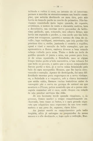 — 54 —
trilhado e voltar á casa, no iuteuto de vSÓ interrom-
permos a marcha se encontrássemos mn bonito exem-
plar, que estaria destinado ao meu tiro, pois não
haWa eu tomado parte na morte do primeiro. Não ha-
víamos caminhado meia legaia quando, de repente,
avistámos, a menos de cento e cincoenta metros, bem
a descoberto, um enorme cervo possuidor de bellis-
sima galhada, que, estacado, nos olhava firme; não
havia um segundo a perder, e, com medo que tão bella
presa me escapasse, apontei-a mesmo de cima do ca-
vallo ; logo verifiquei, entretanto, que iria perder tão
precioso tiro e, então, juntando á cautela a rapidez,
apeei e visei o coração do bello exemplar, que me
apresentava o flanco, embora tivesse a bem ornada
cabeça voltada para mim. Tinha o dedo na tecla do
gatilho quando vi junto a mim, um pouco para traz,
já de arma apontada, o Soledade, mas se algum
tempo tenha gasto n'esta narrativa, n'um relance foi
que tudo se passou, e antes que o nosso companheiro
fizesse partir o tiro, já o cei*vo cahia fulminado pela
bala do mjeu mosquetão Mauser, que lhe havia atra-
vessado o coração. Apezar de destripada, foi uma dif-
ficuldade enorme para engai*upar-se a nova victima
eu, o Soledade e o vaqueiro, sob a chuva torrencial
que então cahia, fizemos varias tentativas antes de
conseguir pôr o cervo na garupa do animal em que
montava o Firmo, pobre montada que só a passo con-
segTiiu caminhar até á casa, onde chegou em estado
de não prestar serviços tão cedo.
Já era bastante tarde quando chegámos, e, ás
pressas, fomos mudar a roupa completamento en-
charcada, bem como as botas, e o meu grande capa-
cete que adquirira uma espessura de uns três centí-
metros e um peso de, seguros, cinco kilos.
Ao jantar recebi os cumprimentos pelo bello
trophéu, aliás já entregue ao preparador do nosso
museu e a elle destinado, e, logo após a refeição. Roo-
 