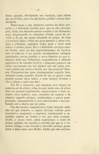 fosse, quando, divulgando uns tuyúyús, quiz atirar
em um d'elles, pois isso me havia pedido o nosso taxi-
dermista.
Estávamos a uns duzentos metros do bello per-
nalta, e o Soledade insistia para que eu não atirasse,
pois, dizia, era absurdo querer acertar a tal distancia
mas, desprezando os conselhos d 'este, apeei do ca-
vallo e, de pé, um pouco afastado do grupo, fiz fogo
e o tujTÍyú cahiu; voltei-me para montar e, entre ova-
ções e pilhérias, seguimos todos para o local onde
cahira a minha presa. Eu e o Soledade cavalgávamos
na frente, mas, ao nos approximarmos do tuyúyú,
este levanta- se, e as nossas cavalgaduras refugam
assustadas; novas risadas, e cerco idêntico ao que tí-
nhamos feito nas Palmeiras, responderam á altitude
aggressiva do valente tuyúyú, e ninguém pensava em
atirar novamente em um animal que até então esti-
vera cahido por terra e ferido por um projéctil Mau-
seu. Preparava-me para photographar aquella inte-
ressante scena, quando, deante de um oh geral e com
grande pasmo para todos, o meu tuyúyú levanta o
voo e singra o azul sem fim ! . .
Tal foi a surpresa, que ninguém teve tempo ou
lembrou-se de atirar; além de que, todos nós, de olhos
fixos no enorme implumado, esperávamos a todo in-
stante vel-o tombar; mas, cansados de esperar e de
admirar aquelle milagre, continuámos a nossa pere-
grinação, commentando o caso interessante e nos mo-
lhando sob a chuva que já cahia.
Um dos nossos companheiros tinha deixado cahir
não sei que objecto, e, alg-uns haviam voltado para
procural-o, emquanto o vaqueiro, continuando a ca-
minhar, seguia na frente e era por mim acompa-
nhado, a passo lento, para esperarmos o resto do
grupo, quando, de repente, o cavallo em que ia o va-
queiro refuga, e um enorme e atrevido cachaço passa
junto a mim como uma flecha. Ainda que não estives-
 