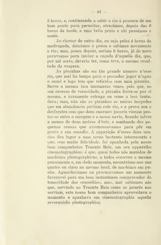 — 52 —
õ horas, e, continuando a subir o rio á procura de um
bom ponto para pernoitar, atracámos, deix)is das 6
horas da tarde, a uma bella praia e ahi passámos a
noute. -^
Ao clarear do outro dia, ou seja pelas 4 horas da
madnigada, deixámos o pouso e subimos novamente
o rio ; mas, pouco depois, seriam 6 horas, já de novo
parávamos para iniciar a caçada d'aquelie dia, que,
por má sorte, deveria ter, como teve, o mesmo resul-
tado da véspera.
As piranhas são em tão grande numero n'esse
rio, que mal ha tempo para o pescador jogar n'agua
o anzol e logo tem que retiral-o com uma piranha.
Serve a mesma isca innumeras vezes, pois que, no
seu excesso de voracidade, a piranha ferra-se por si
mesma, e raramente estraga ou come a isca tenta-
dora; mas, não são as piranhas os únicos hospedes
que em abundância povoam este rio, e a prova era a
desfaçatez com que dous enormes jacarés vieram pos-
tar-se entre a margem e o nosso navio, ficando talvez
a menos de dous metros d'este, e zombando das pe-
quenas cousas que arremessávamos para pôr em
prova a sua ousadia, A apparição d 'esses dous sau-
rios deu lugar a uma scena bastante interessante e
que, com muita felicidade, foi apanhada }3elo nosso
bom companheiro Tenente Reis, em seu apparelho
cinematographico : é que, quasi todos nós munidos de
machinas photographicas, a todos occorreu o mesmo
pensamento e, em dado momento, encontrámo-uos uns
quatro ou cinco no mesmo local, de machinas em pu-
nho. Aguardávamos ou procurávamos um momento
favorável para um bom instantâneo comprovador da
temeridade dos crocodilos; mas, mal sabíamos nós
que, servindo ao Tenente Reis como os jacarés nos
serviam, este nosso bom companheiro aproveitava o
momento e apanhava em cinematographia aquella
perseguiçáo photographica.
 