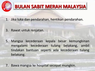 Jika luka dan pendarahan, hentikan pendarahan. Rawat untuk renjatan. Mangsa kecederaan kepala besar kemungkinan mengalami kecederaan tulang belakang, ambil tindakan bantuan seperti ada kecederaan tulang belakang. Bawa mangsa ke hospital secepat mungkin. 