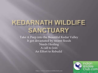 Take A Peep into the Beautiful Kedar Valley
It got devastated by recent floods
Needs Healing
A call to Join
An Effort to Rebuild
http://www.indianwildlifeclub.com
 