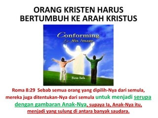 ORANG KRISTEN HARUS
BERTUMBUH KE ARAH KRISTUS
Roma 8:29 Sebab semua orang yang dipilih-Nya dari semula,
mereka juga ditentukan-Nya dari semula untuk menjadi serupa
dengan gambaran Anak-Nya, supaya Ia, Anak-Nya itu,
menjadi yang sulung di antara banyak saudara.
 