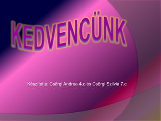 Készítette: Csörgi Andrea 4.c és Csörgi Szilvia 7.c
 