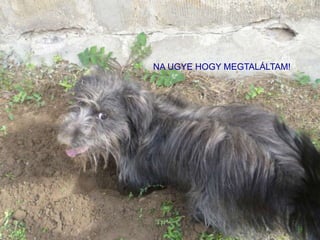 NA UGYE HOGY ѷҰմÁմ!
 