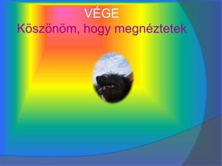 VÉGE
Köszönöm, hogy megnéztetek
 
