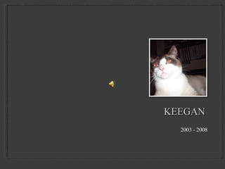 KEEGAN  ,[object Object]